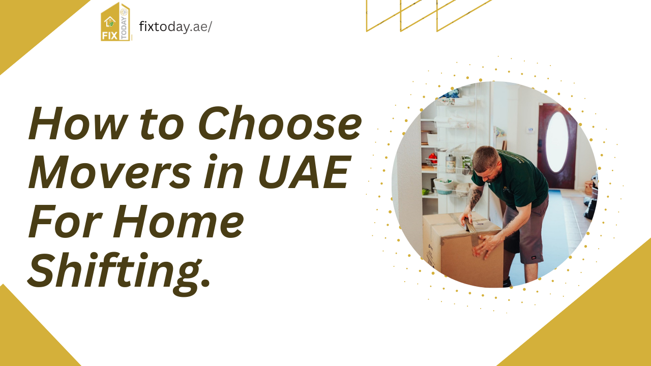 Movers in UAE