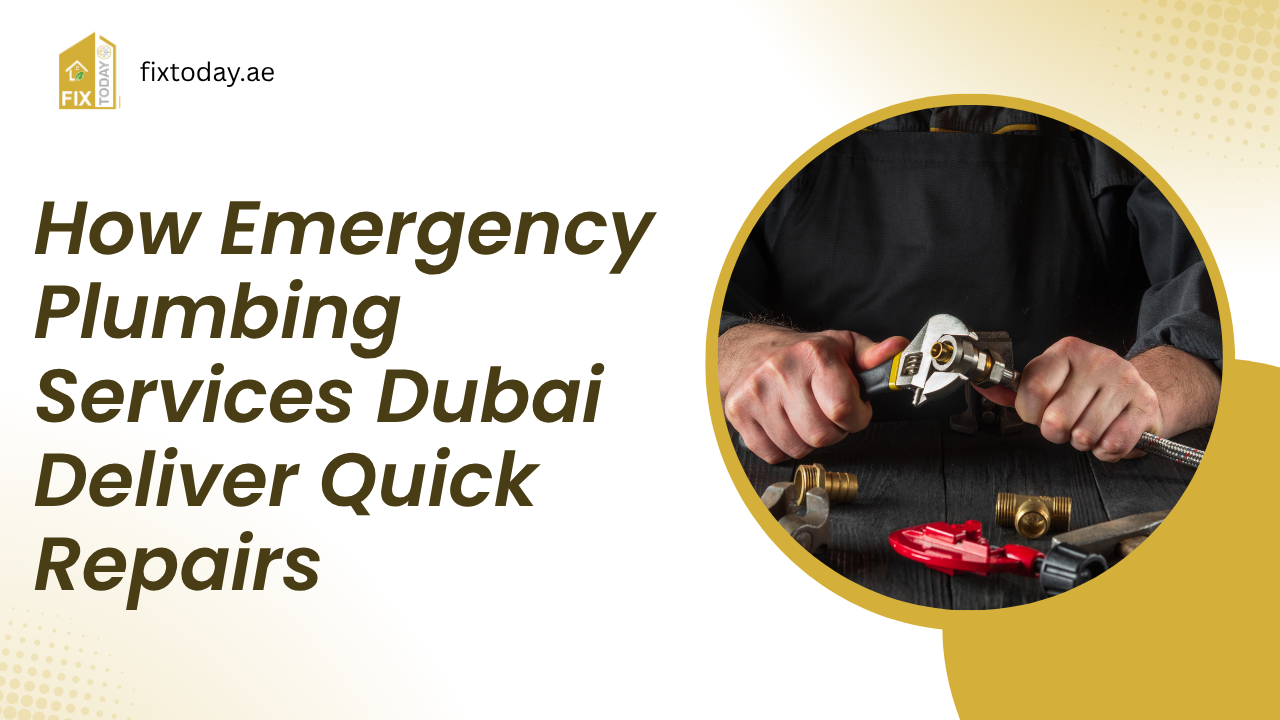Read more about the article How Emergency Plumbing Services Dubai Deliver Quick Repairs
